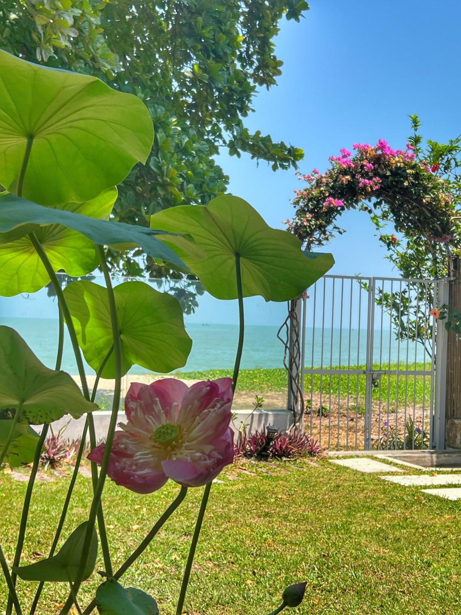 Smell Rose Beach Garden Batu Ferringhi Eksteriør billede